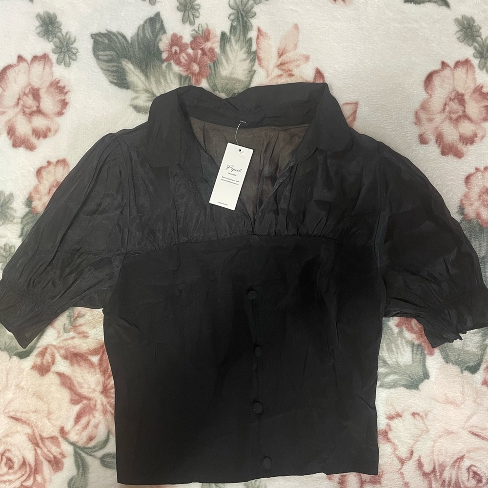 Elegant Black Sheer Blouse